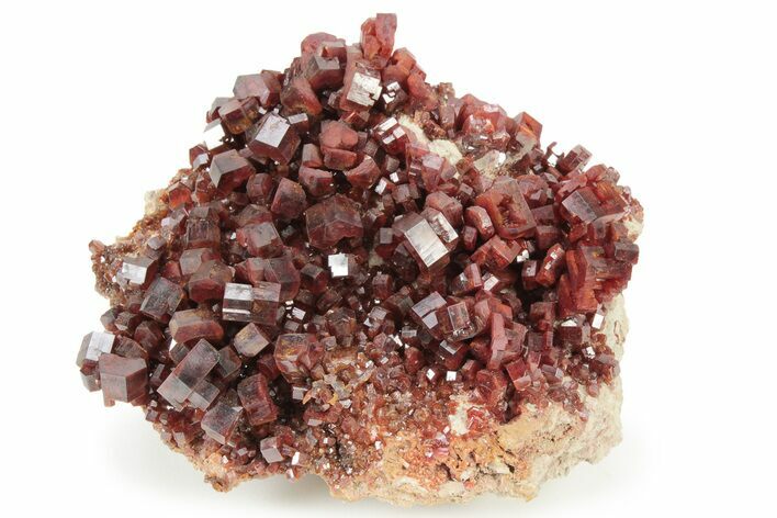 Top-Quality, Deep Red Vanadinite Crystal Cluster - Morocco #231837